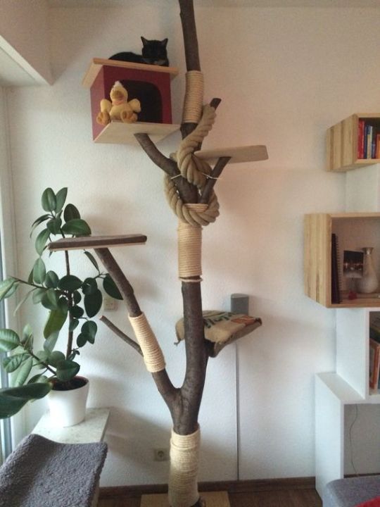 a classic cat tree of branches and trunks, with rope and yarn and even a box to hide inside