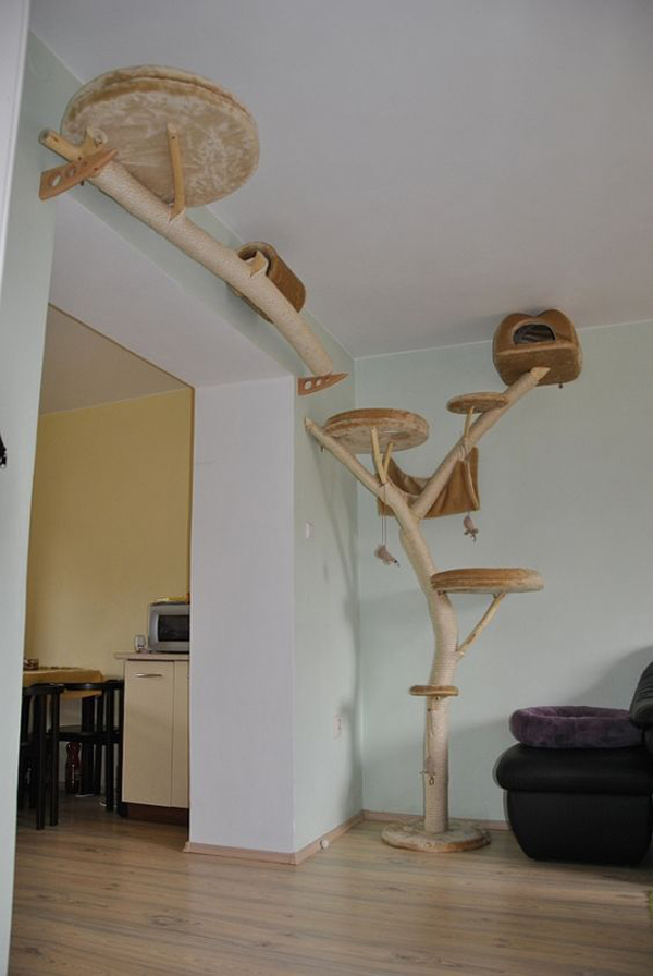 a cat tree of branches covered with yarn and with round upholstered platforms goes up to the wall