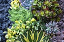 08 succulents may grow in drought but you’ll need towater them properly anyway