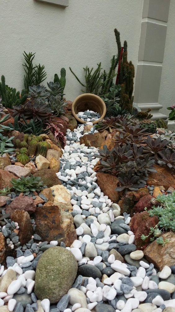 a gorgeous dry creek bed with grey and white pebbles and large rocks that line up the creek plus succulents and cacti