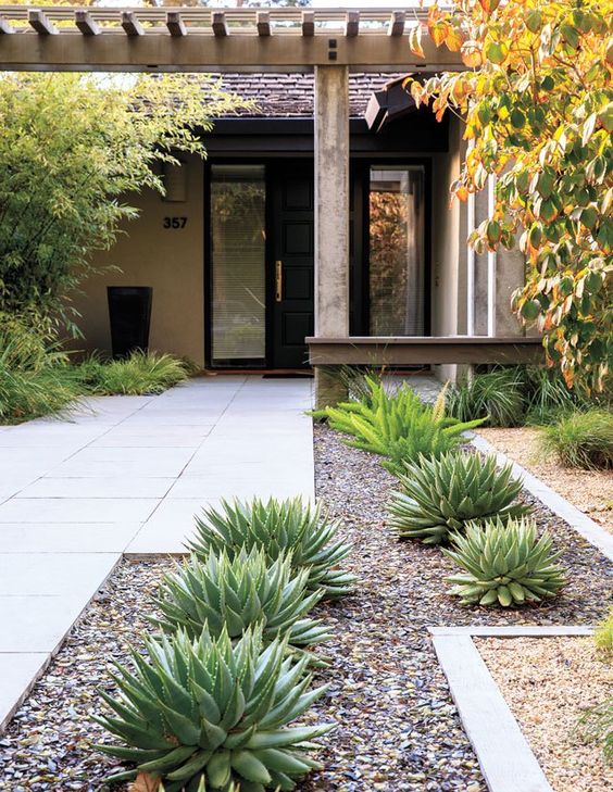 aloe polyphylla and asparagus ferns mixed up with pebbles for a chic and modern front yard
