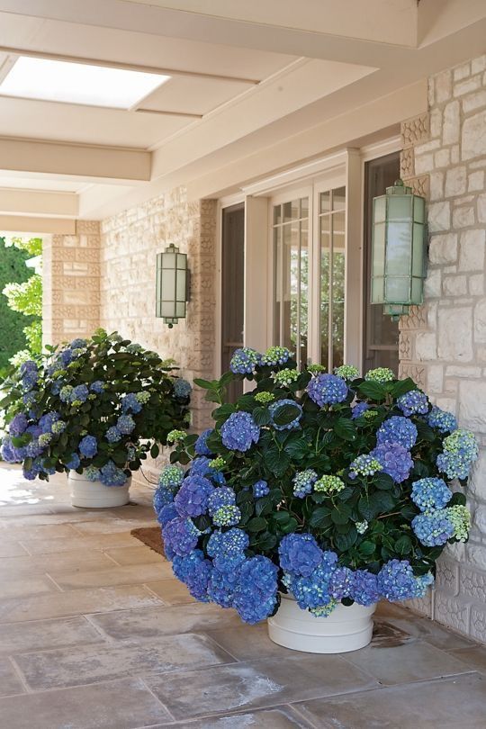 white planters with super lush and colorful blooms catch an eye and lamps over them will accent them even more
