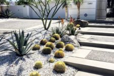 10 combine agaves, succulents and cacti with some contrasting pebbles on top to make your front yard very stylish