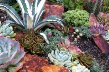 10 go for large agaves as show-stoppers, add smaller succulents in various colors and textures