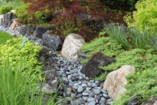 11 a dry stream covered with grey pebbles and with grasses and greenery around for a catchy look