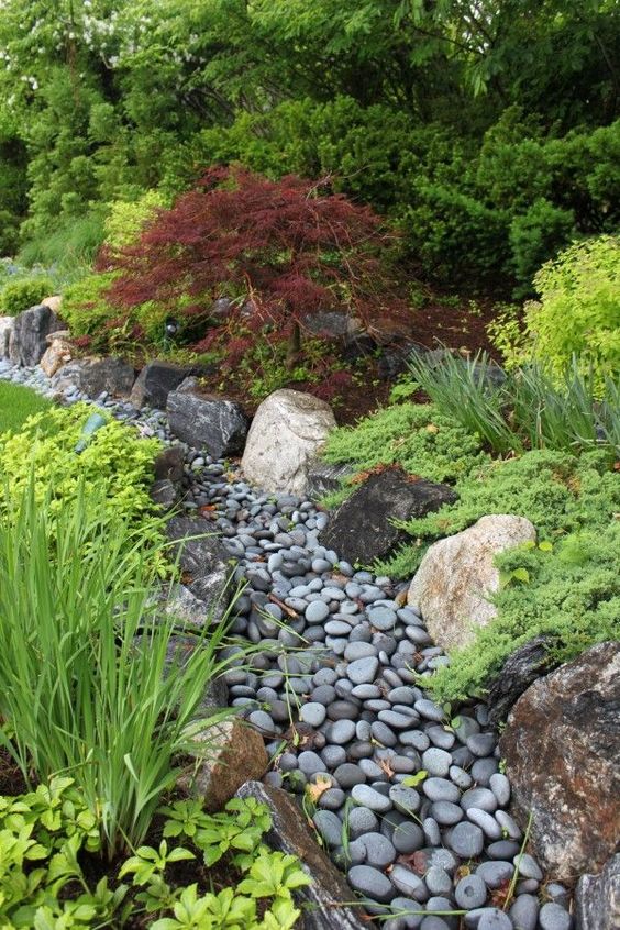 a dry stream covered with grey pebbles and with grasses and greenery around for a catchy look