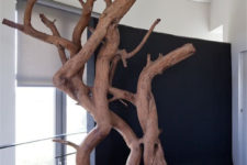 11 a real cat tree of various branches and trunks will add a natural touch to the space and teach your cats to climb