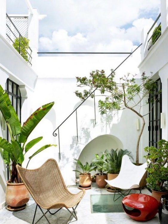 a small tropical patio with lots of potted plants, a white and wicker butterfly chair and all white walls around