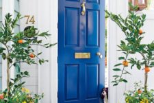 12 a cobalt blue door and matching planters with bright blooms and citrus trees for a Mediterranean feel