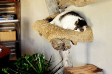 12 a traditional cat tree of trunks and branches attached to each other with rope and spruced up with faux fur