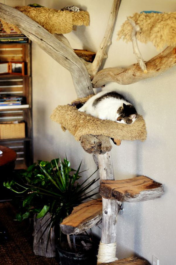 a traditional cat tree of trunks and branches attached to each other with rope and spruced up with faux fur
