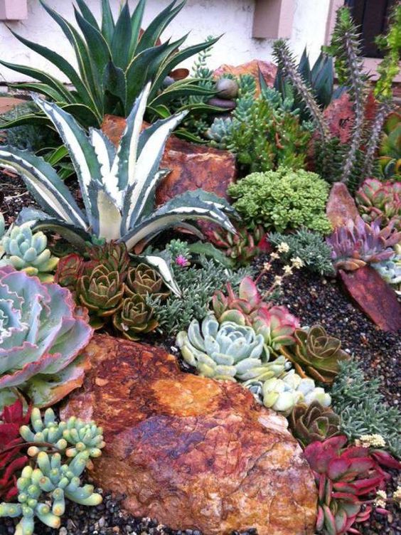 large and bold rocks with pale and neutral succulents make up a cool and catchy desert garden