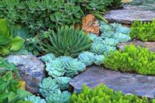 12 succulents line up the steps and rock steps add chic to the plants, especially bold grene plants between the steps