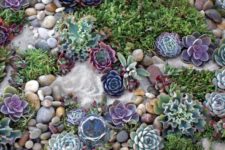 13 mix up sand, rocks and succulents to make your front yard trendy, as succulents are among the top trends for landscaping