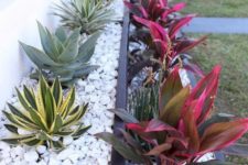 14 succulents and agaves in raise garden beds covered with white pebbles for a very neat and laconic front yard look