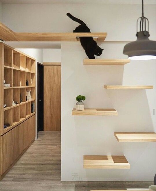 a minimalist cat tree that consists of platforms attached to the wall won't spoil your interior