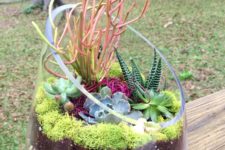 15 large containers may be also used for growing your succulents and cacti, if it’s cold, just take them inside