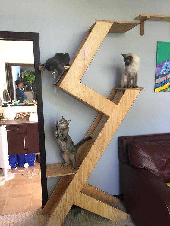 a minimalist plywood cat tree with several platforms and scratchers plus some cat toys hanging for a modern home