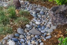 16 a river rock dry stream with grasses around is a cool and natural decor feature for a low water garden