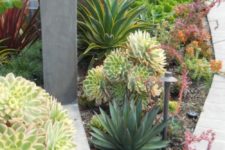 17 bold and chic succulents combined with agaves in various shades of green and yellow