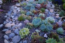 17 mix up various succulents with larger and smaller pebbles and rocks for a more natural landscape