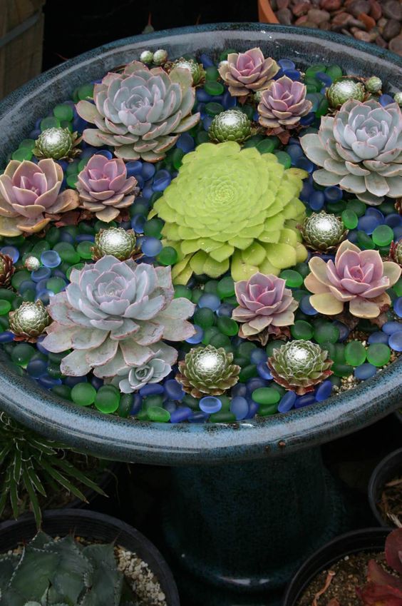 accent your succulents in the containers with colorful glass pebbles like these ones