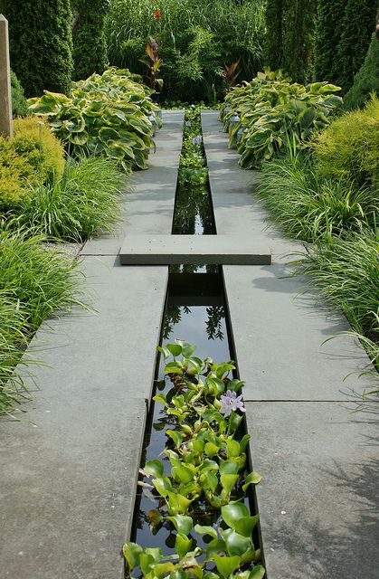 such a modern feature with dark grey stone, black water and bright green plants brings symmetry and organic textures
