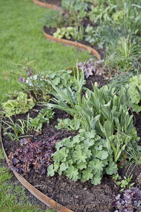 a garden bed edged with patina metal for a relaxed and rustic feel in the garden