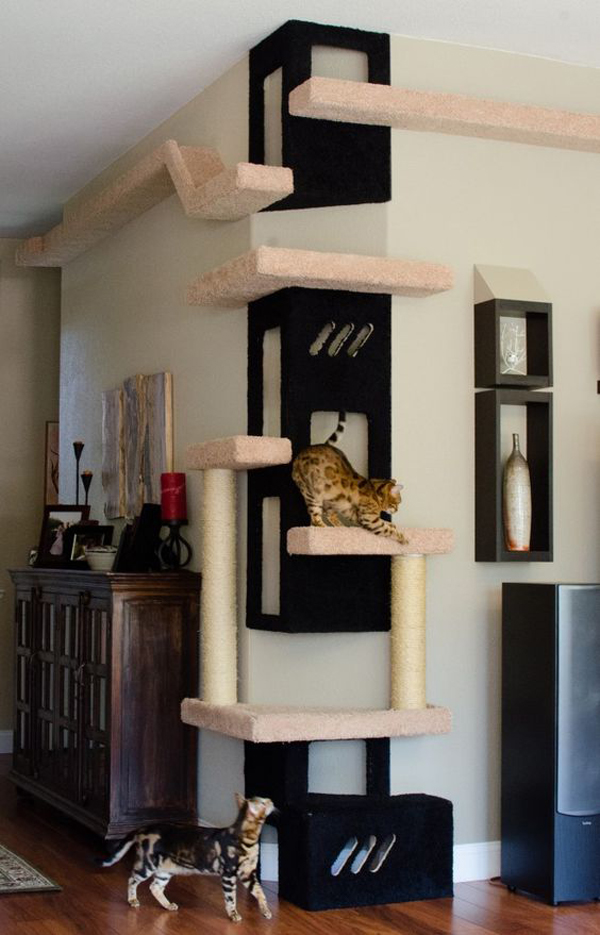 a modern cat tree of platforms and pillars and scratchers built on the walls and corner to make cats happy