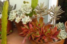 19 rock same terra cotta pots with various succulents to give your garden a more cohesive look