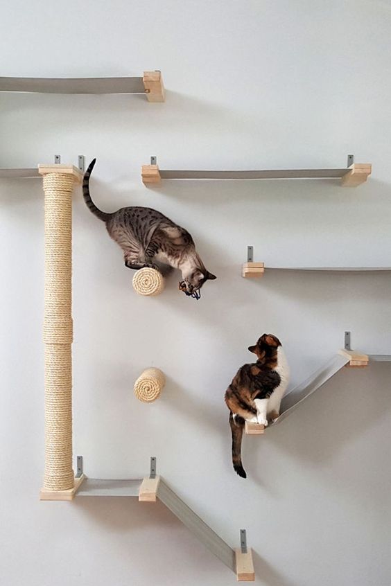 a modern cat tree or climber of fabric and jute is a fun and stylish idea that your cats will approve