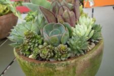 23 a green pot with green and purple succulents is a clever idea to provide proper drainage