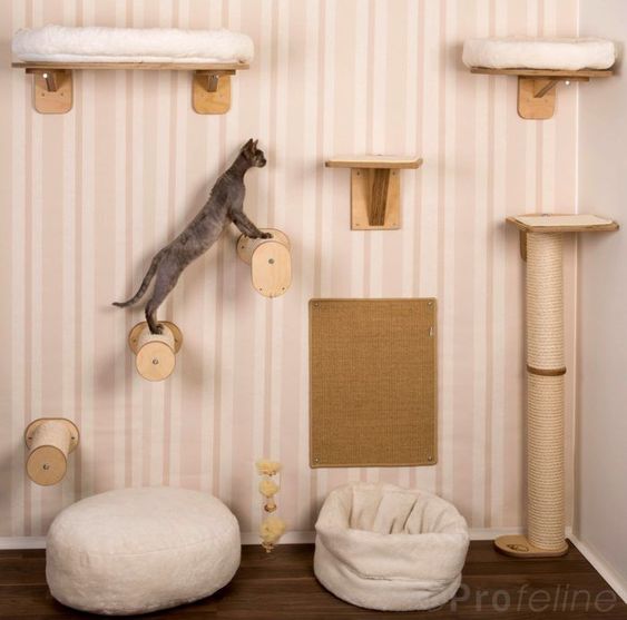a modern version of a cat tree with some platforms and pillars plus branches to jump at