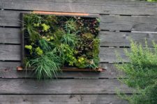 23 create a succulent vertical garden as an artwork and part of landscaping, it won’t take much space
