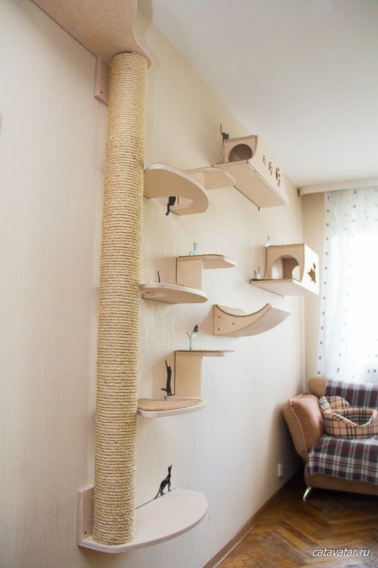 a contemporary cat climber and scratcher of plywood and jute rope built of shelves and houses attached to the wall