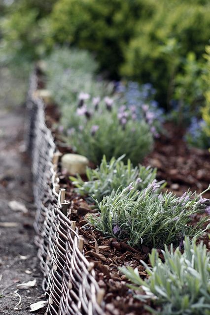 a garden bed edged with weaving look very cozy and if you whitewash the edging, it will look Scandi-like