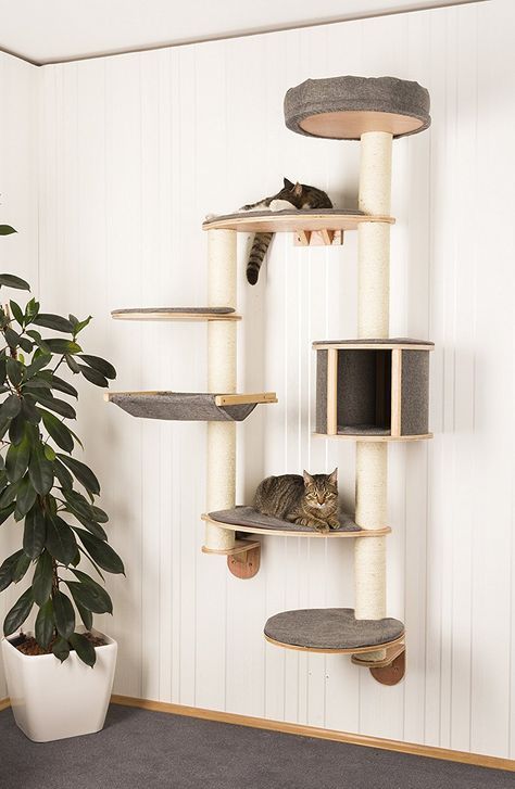 a wall-mounted cat treee of pltforms with upholstery and houses and jute covered posts to scratch them