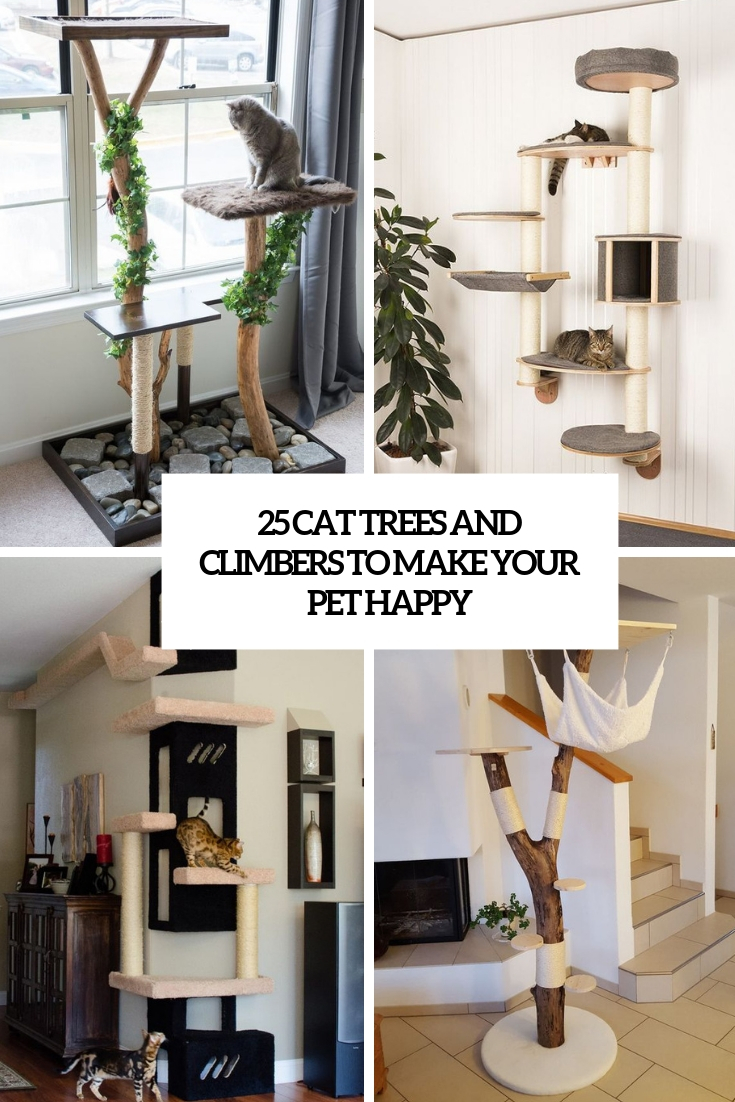 cat trees and climbers to make your pet happy
