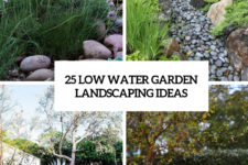 25 low water garden landscaping ideas cover