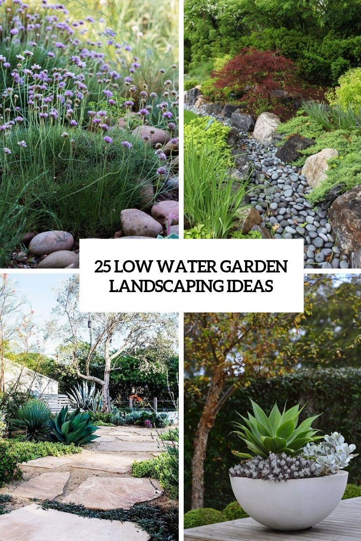 low water garden landscaping ideas