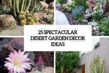 25 spectacular desert garden decor ideas cover