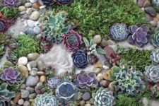 26 a chic succulent garden with sand, pebbles and various types of succulents in beautiful shades