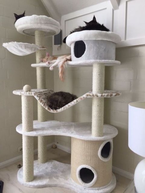 An ultra modern cat tree with several platforms and beds, with scratcher posts and some hammocks