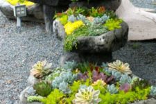 26 bright yellow and green succulents, cacti and agaves are amazing to add a colorful touch
