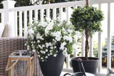 26 elegant cohesive planters with different plant, a large lantern with a candle for a summer deck