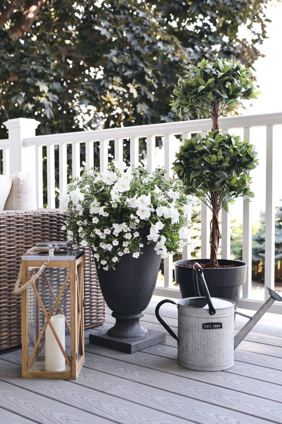 elegant cohesive planters with different plant, a large lantern with a candle for a summer deck