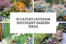 59 catchy outdoor succulent gardne ideas cover