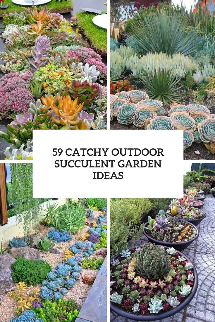 catchy outdoor succulent gardne ideas