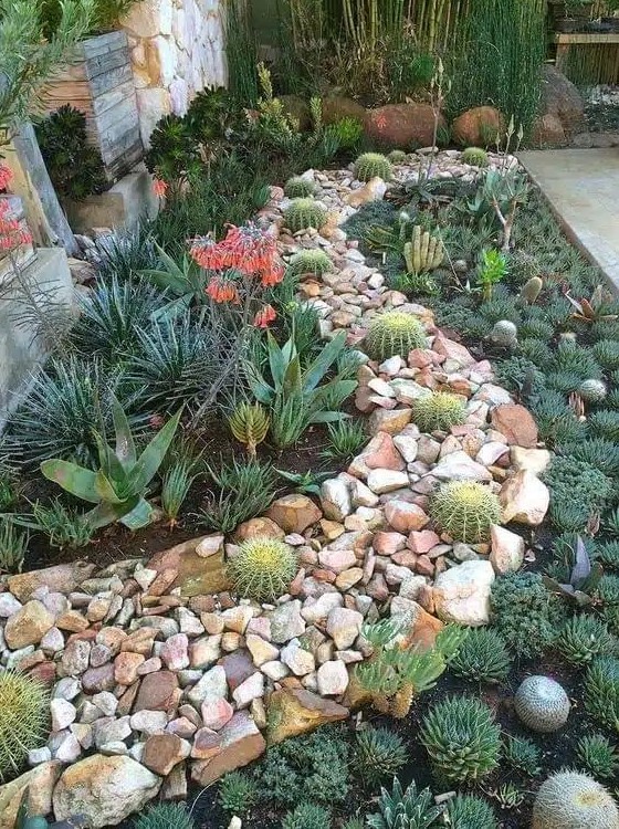 a bold desert garden with rocks and cacti in them, agaves and succulents is a stylish and catchy solution with a boho feel