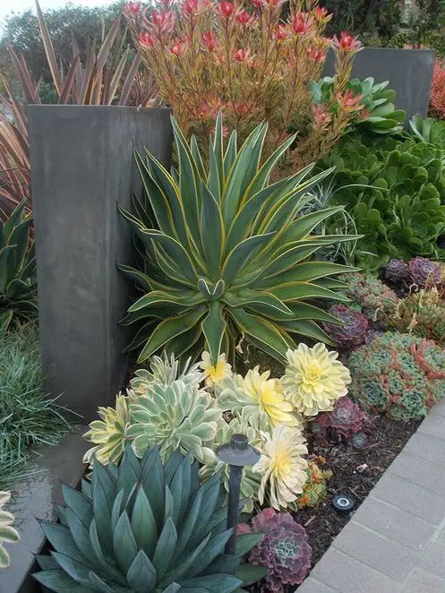 a bold succulent garden with oversized succulents and agaves in light and bold green, light yellow and purple pieces is a very catchy didea